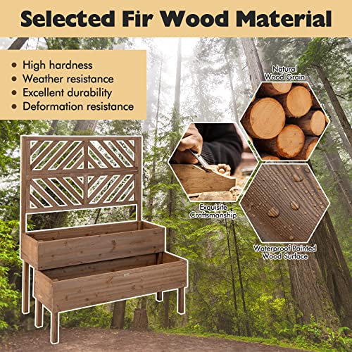 2-Tier Raised Wooden Garden Bed with Trellis X916419