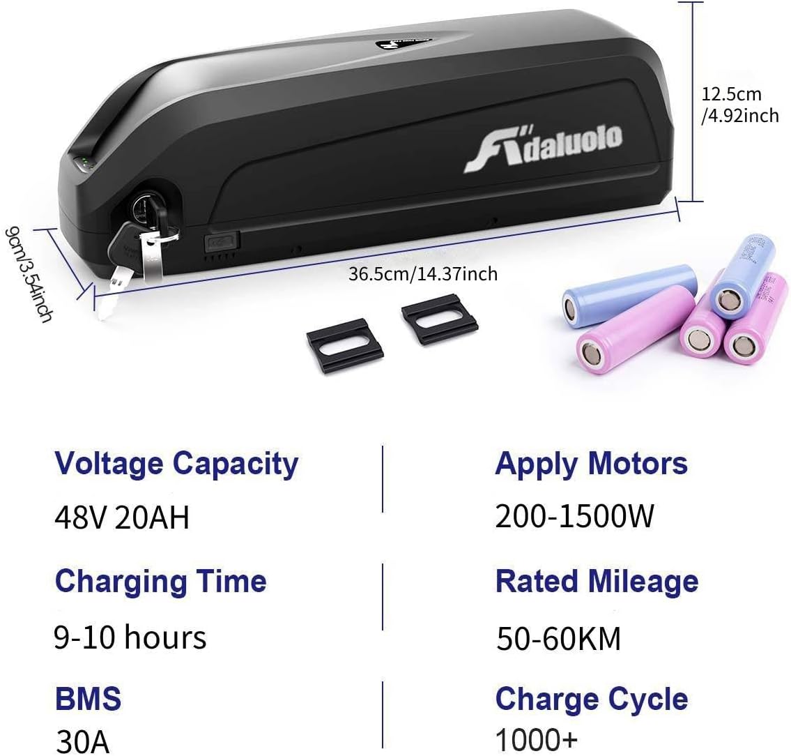 48V 20AH Lithium ion Electric Bike Battery Pack with Charger V825