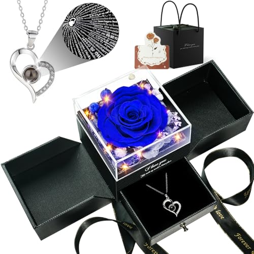 Red Preserved Real Rose Heart Necklace Z359884