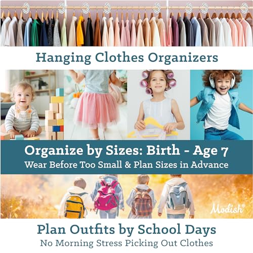 Hanging Clothes Size Dividers I47486