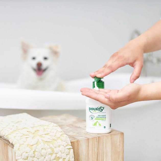 Douxo S3 SEB Shampoo Y532