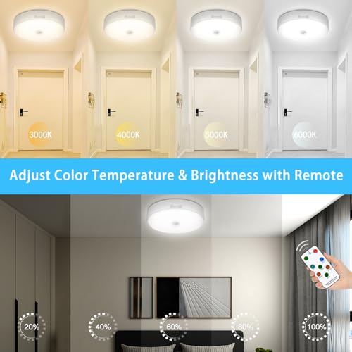 2 Pack Rechargeable Motion Sensor Ceiling Light P824