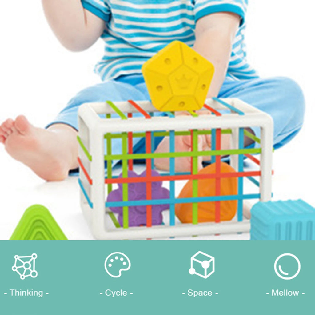Shape Sorter Baby Toys with Storage Cube Bin & Sensory Shape Blocks Q541