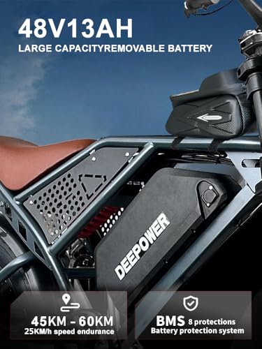 1500W Peak Brushless Motor 30 MPH Fat Tire E Bike with 624-2880Wh Removable Battery 20" Electric Dirt Bike with Dual Suspension and 7-Speed E668