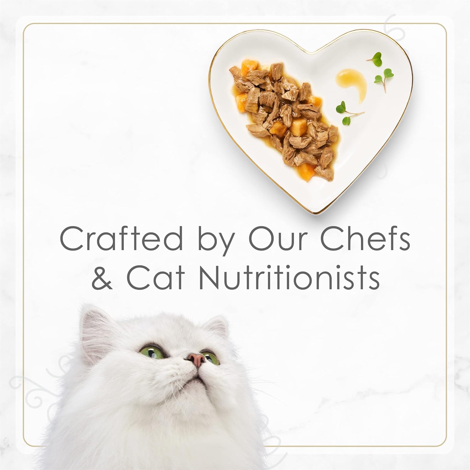 Petites Turkey & Sweet Potato Entree Wet Cat Food, Pack of 12, 2.8 oz. Tubs C207878