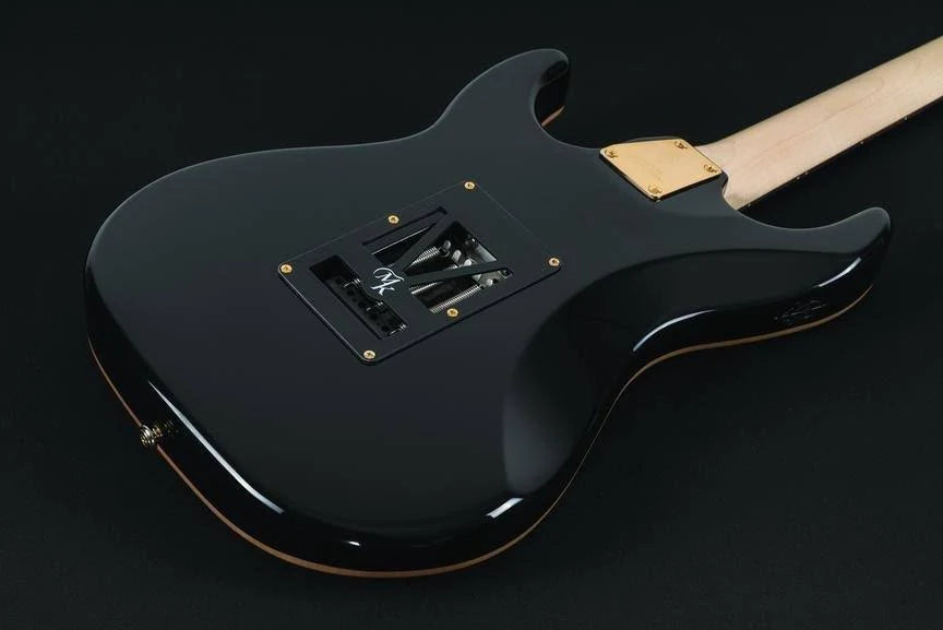 Blue Burl Electric Guitar K185942