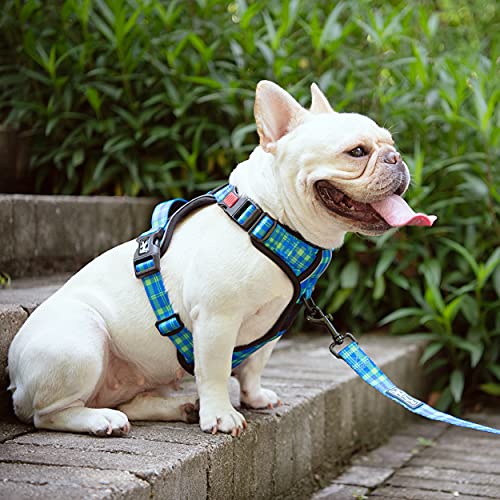 Purple No Pull Dog Harness with Reflective Adjustable Vest D7909