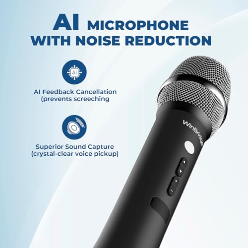 15W Wireless Bluetooth Microphone Speaker with Noise Cancelling J422203
