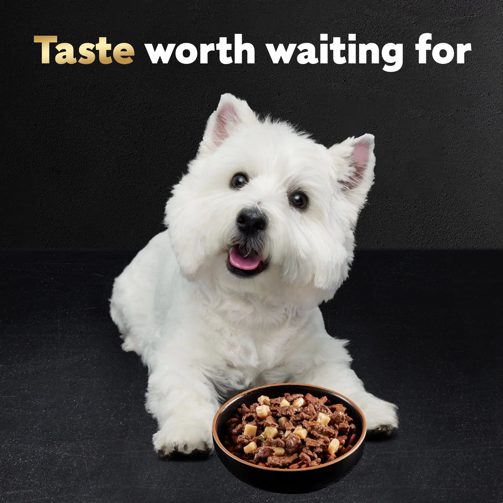 Ribeye Steak Flavor with Vegetables Dog Food, 3.5 oz (24 pk) W64031