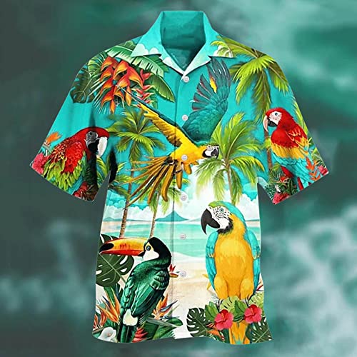 Men Hawaiian Printed Button Down Shirt V2584