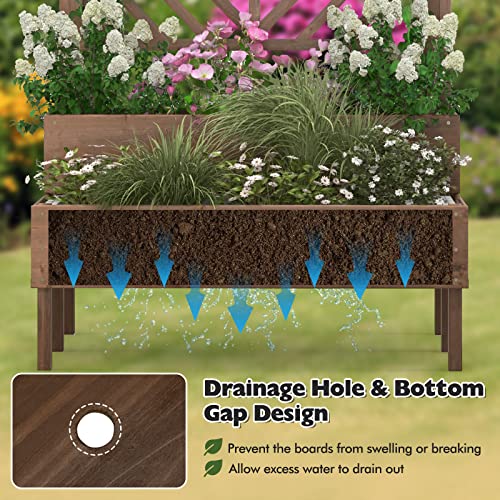 2-Tier Raised Wooden Garden Bed with Trellis X916419