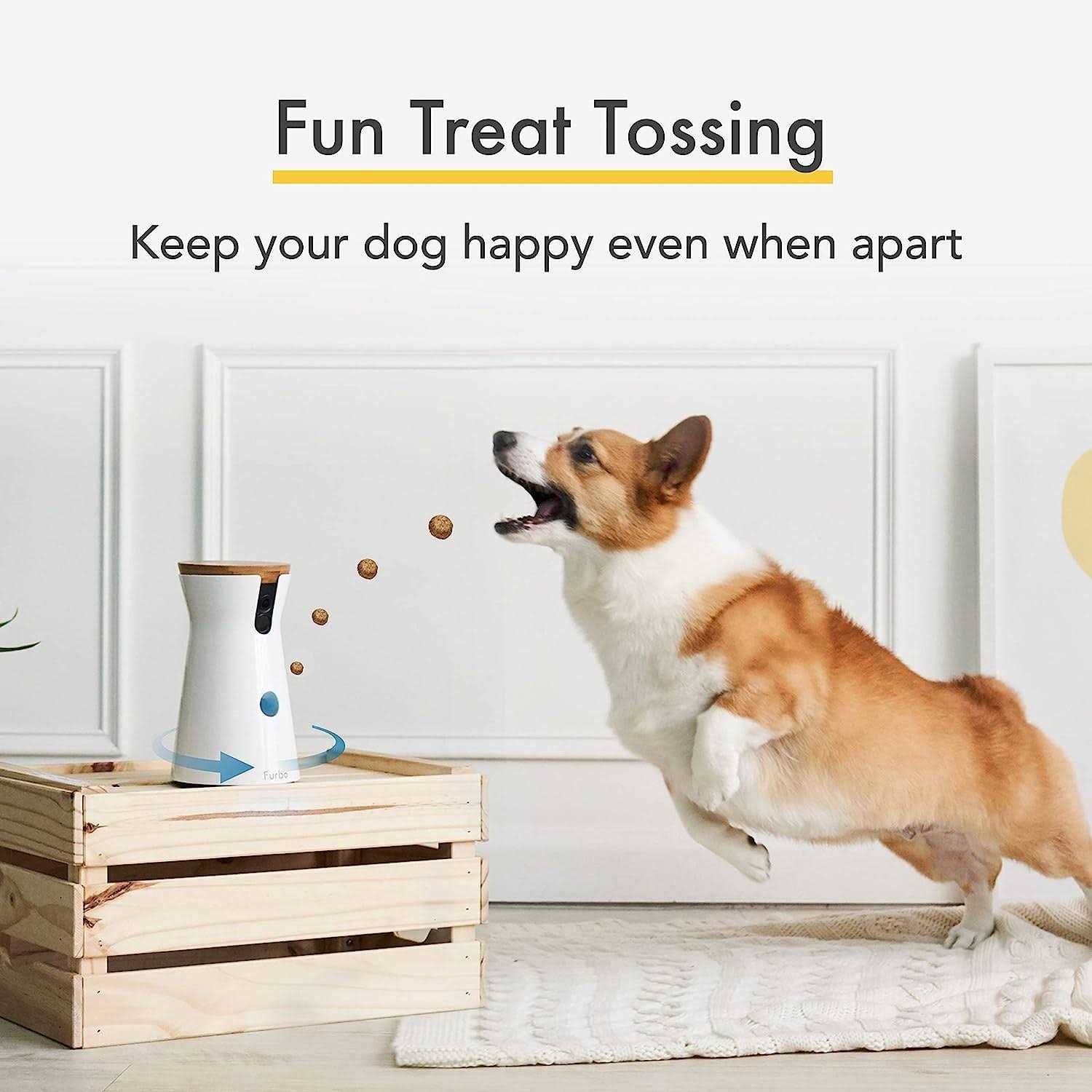 360° Dog Camera Pet Camera Q735879