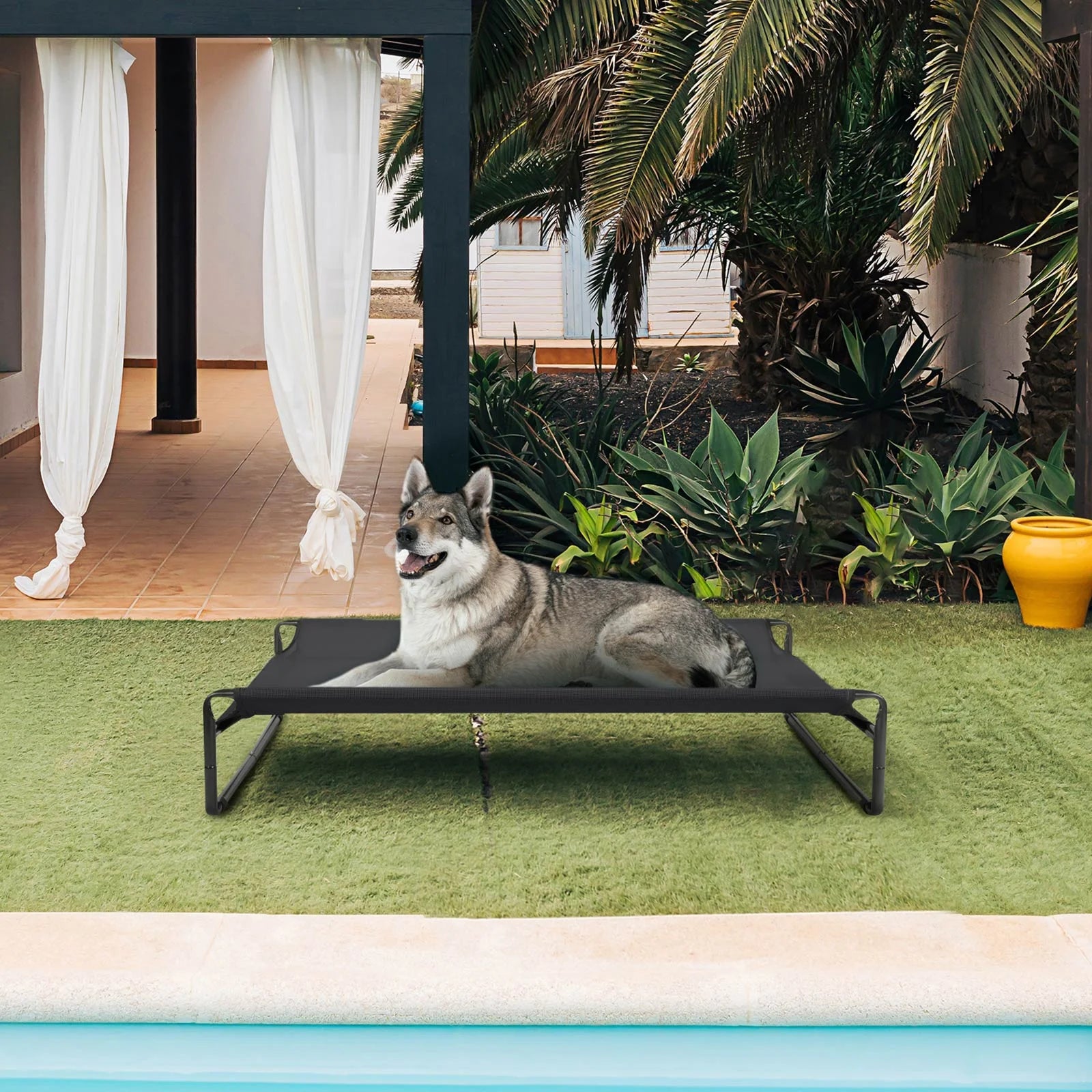 Black Elevated Dog Bed with Washable Mesh X988331