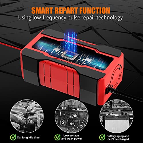 10-Amp 12V 24V Fully-Automatic Smart Car Battery Charger C890155