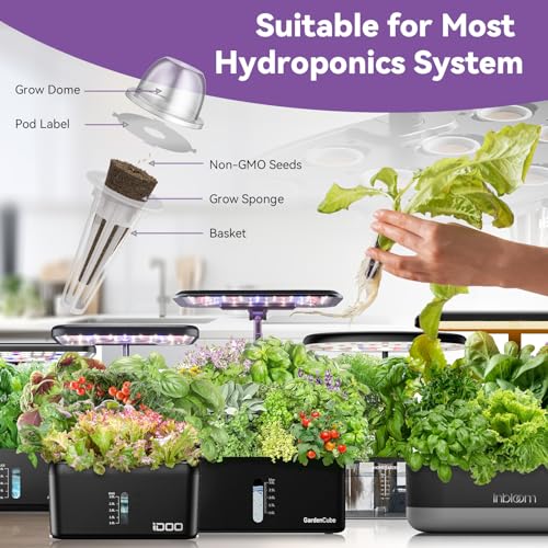 7-Pods Fruit Seed Pod Kit with 350+ Seeds S3802