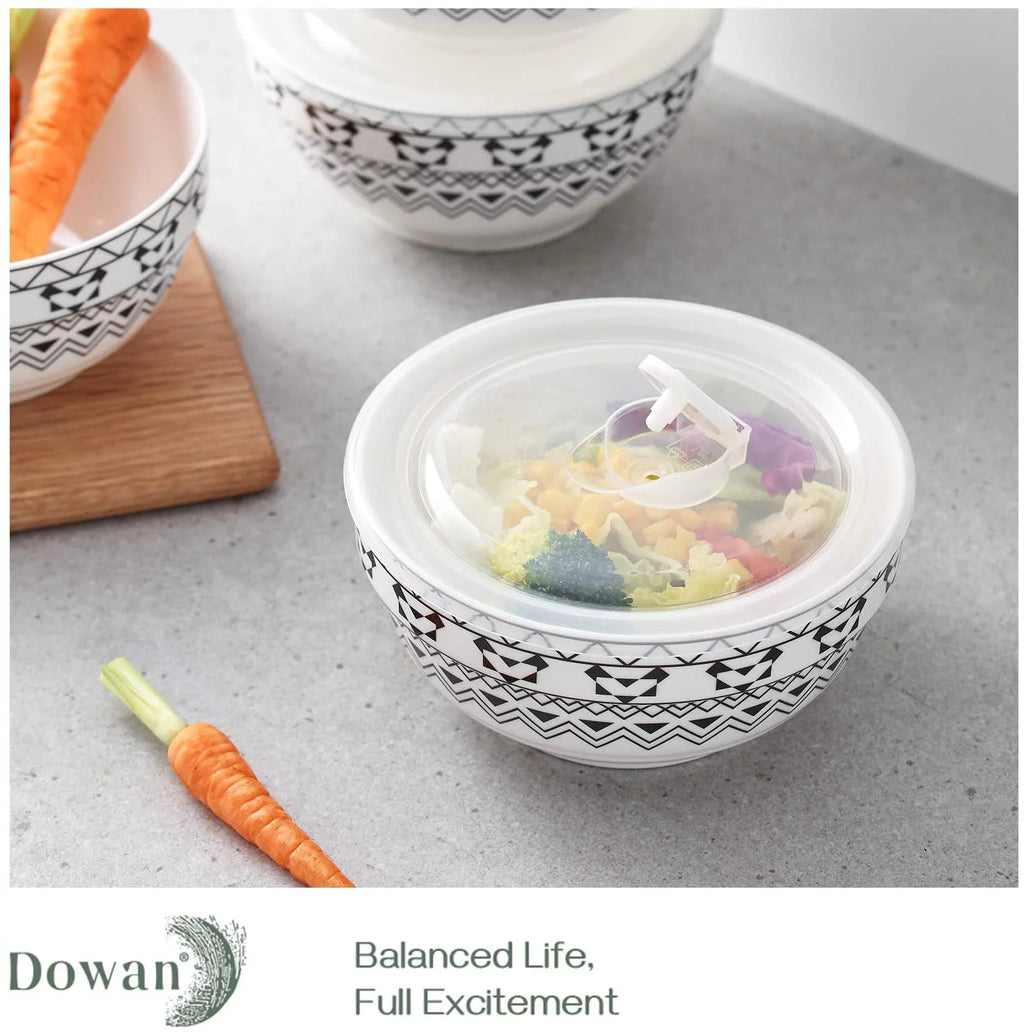 4 Pack 22 oz Porcelain Ceramic Bowls with Lid I3424