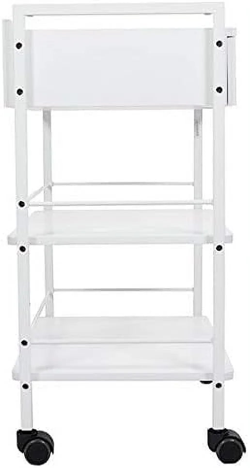 Mobile Utility Cabinet With Steel Frame And One Drawer Q3655
