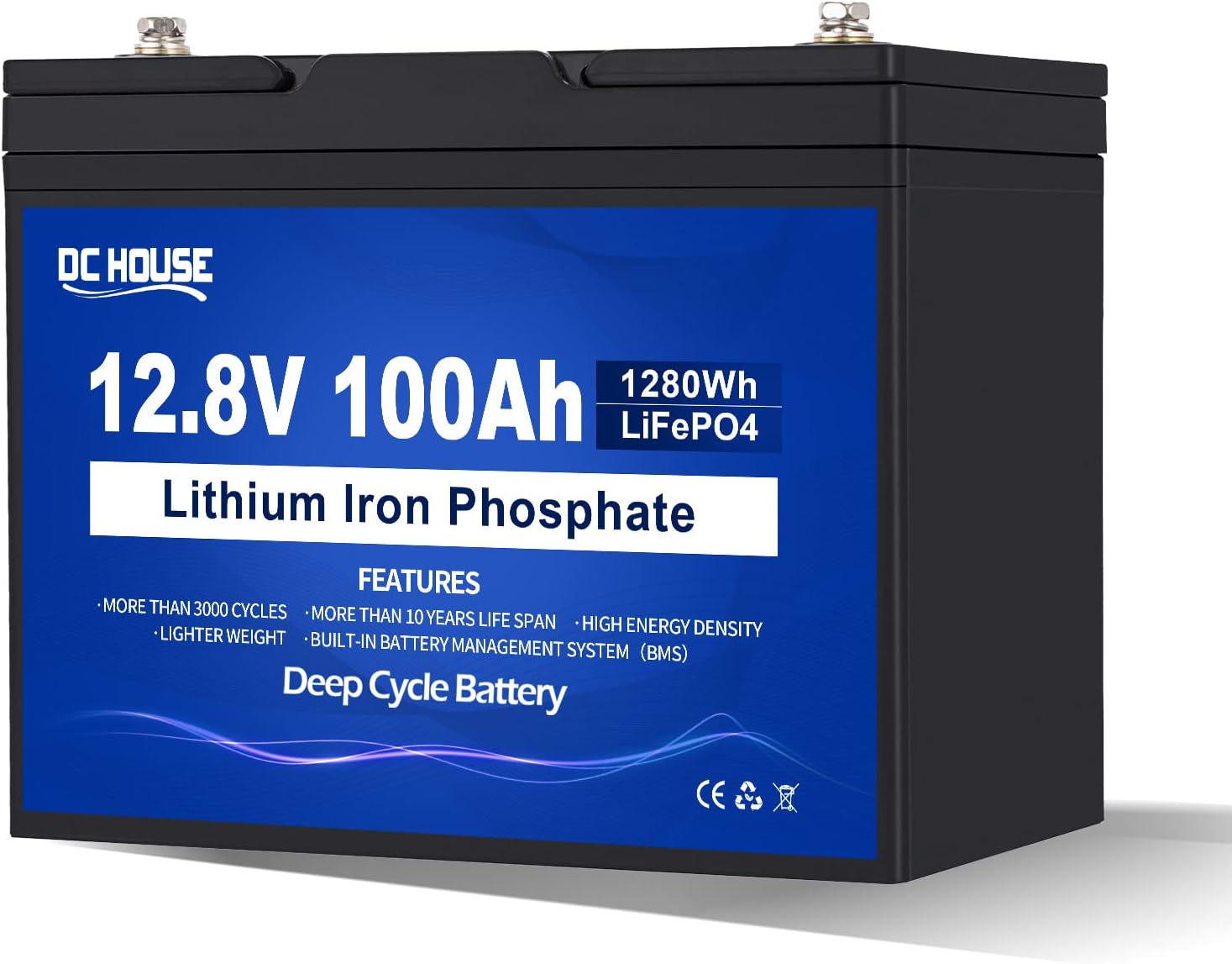 12V 100AH LiFePO4 Lithium Battery with 100A BMS N889209