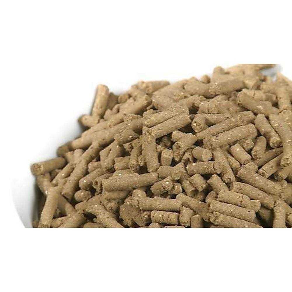 Large Breed Adult Dry Dog Food V59942