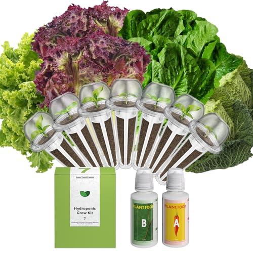 7-Pods Fruit Seed Pod Kit with 350+ Seeds S3802