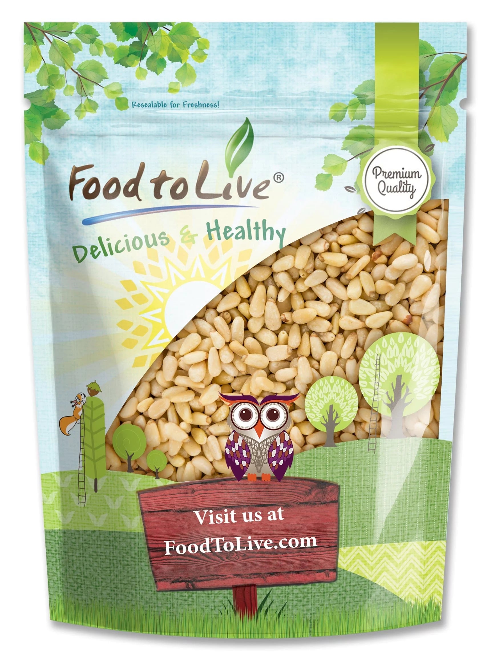 Pine Nuts, 1 Pound — Kosher, Vegan, Raw R680058