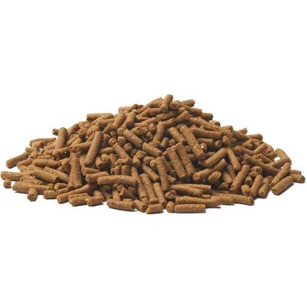 Large Breed Adult Dry Dog Food V59942