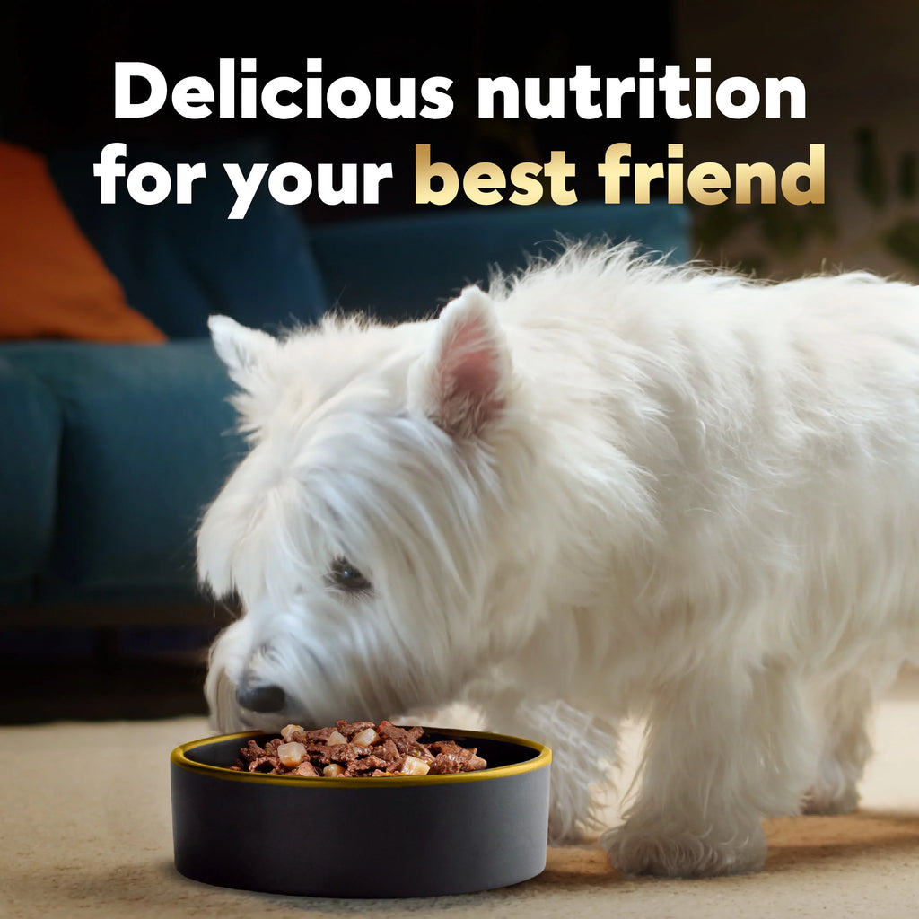 Ribeye Steak Flavor with Vegetables Dog Food, 3.5 oz (24 pk) W64031