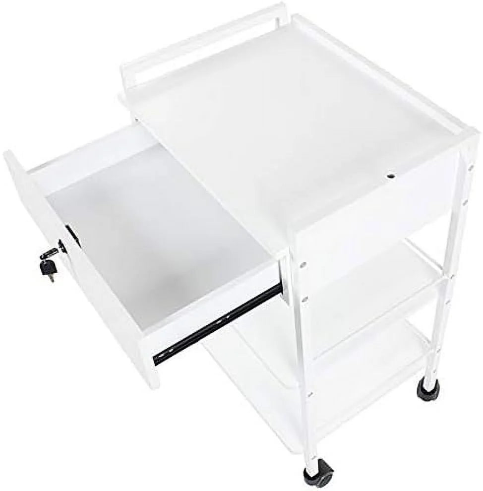 Mobile Utility Cabinet With Steel Frame And One Drawer Q3655