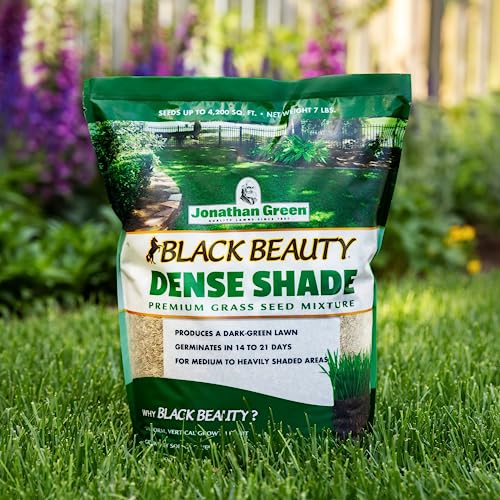 Black Beauty Dense Shade Grass Seed 7 lb A5828