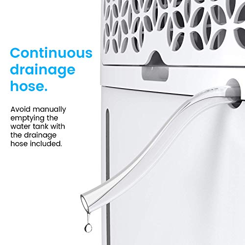 Compact Electric Mini Dehumidifier, 2200 Cubic Feet D712900