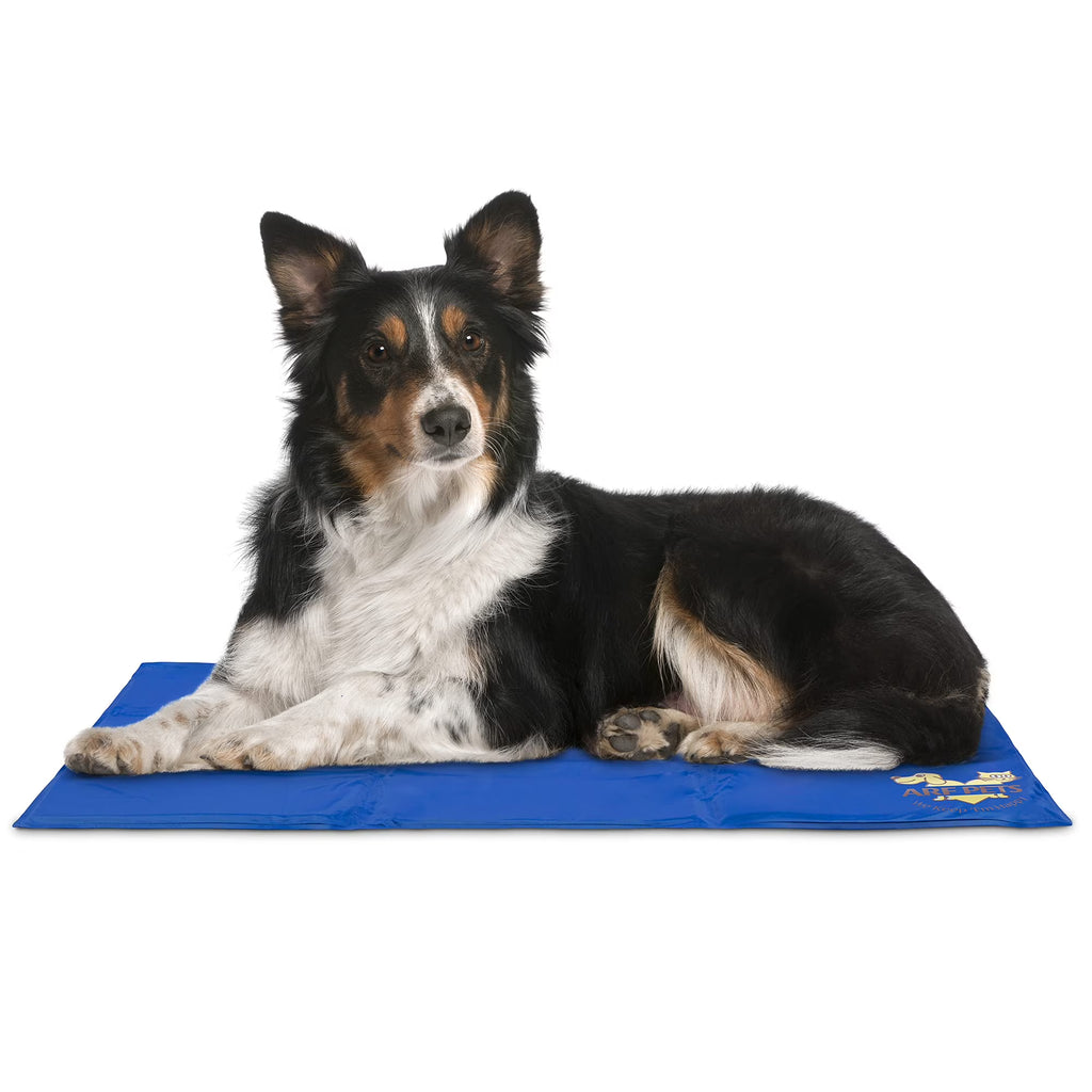 Blue Cooling Gel Pet Mat Q446
