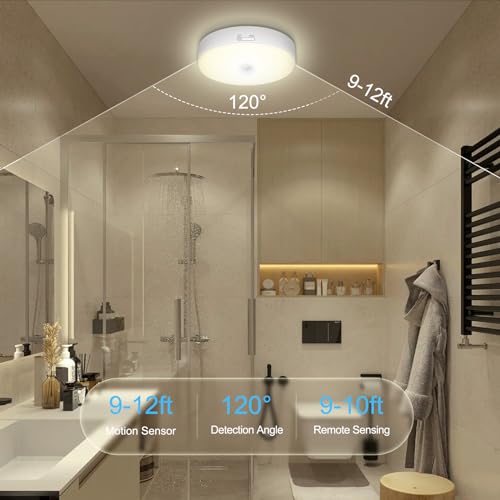 2 Pack Rechargeable Motion Sensor Ceiling Light P824