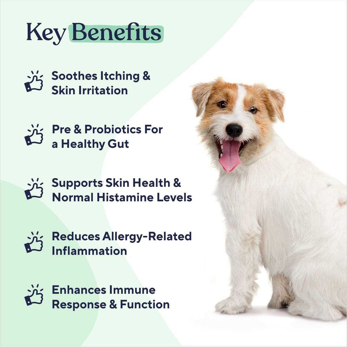 Allergy & Immune Chews E16981