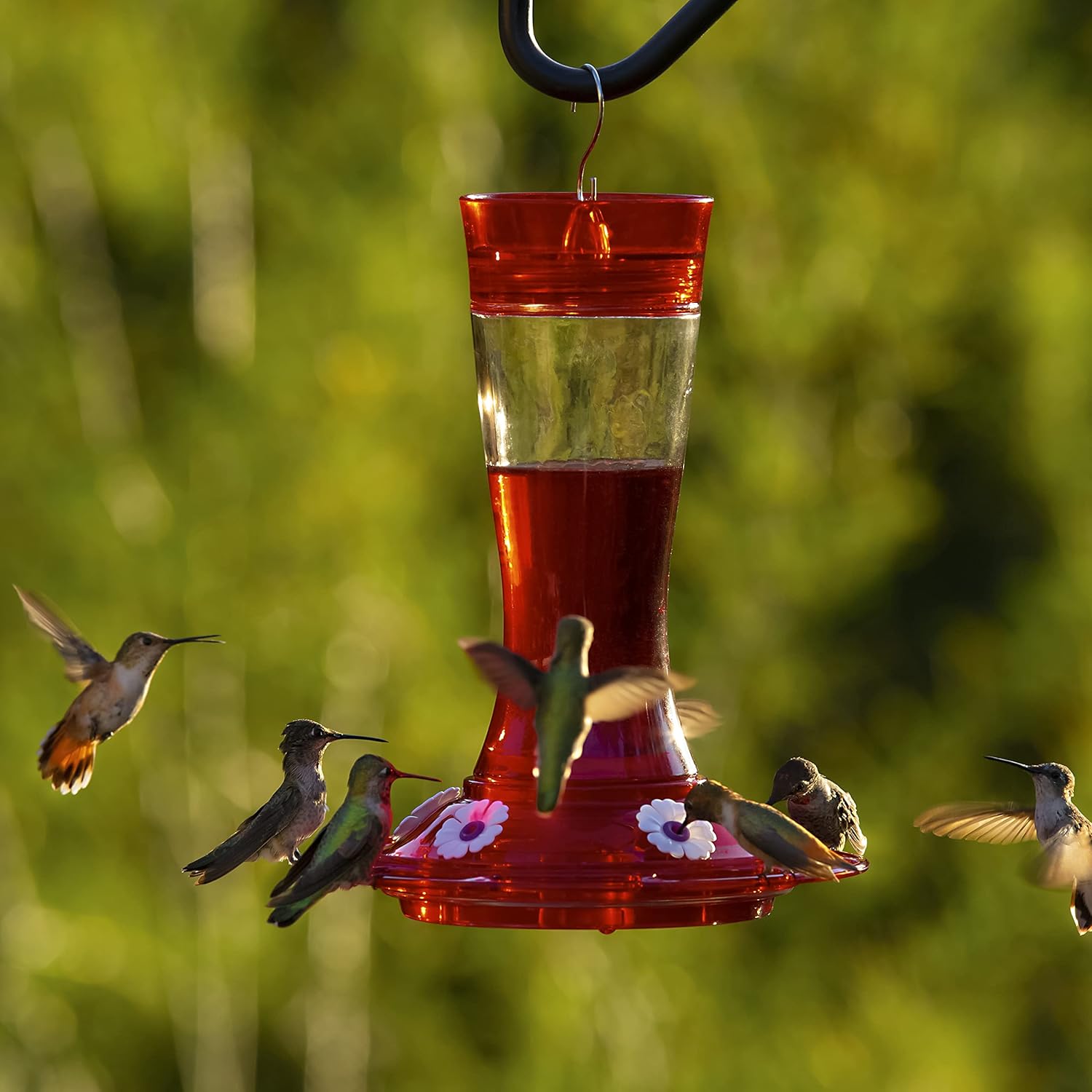 Glass Hummingbird Feeder, 5 Feeding Stations, 20 Ounces D5306