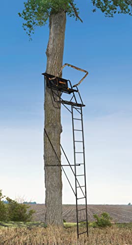 Black 2-Man Ladderstand D551