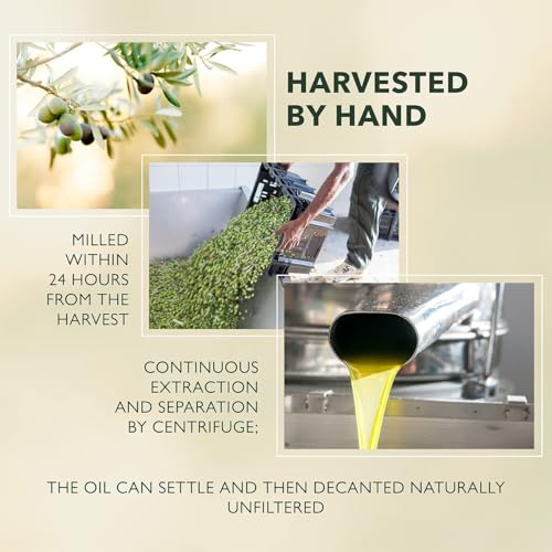 Extra Virgin Olive Oil - Unfiltered, Cold Extracted - 33.8 fl oz - Pack of 1 M798076