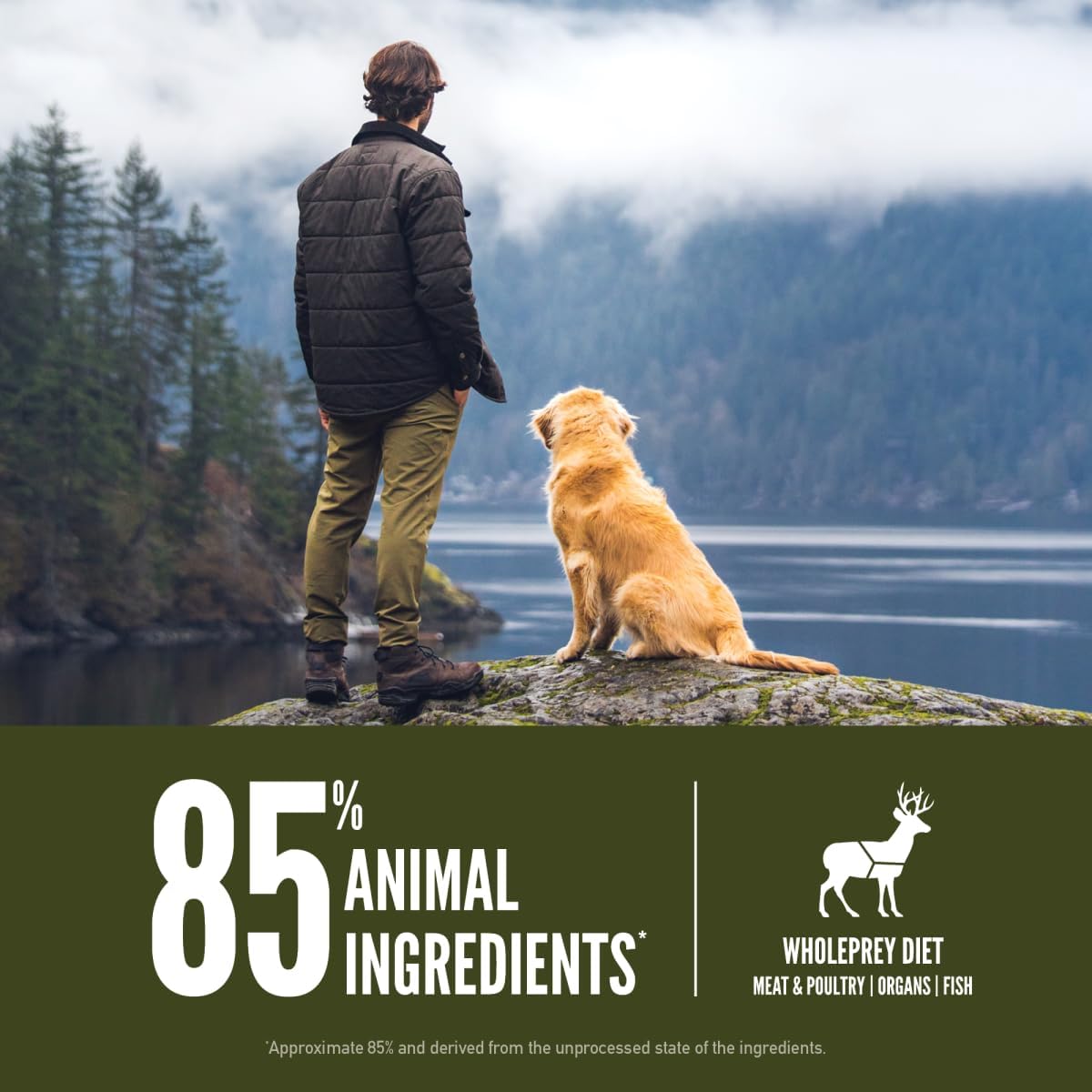 23.5lb Grain Free Dry Dog Food K948821