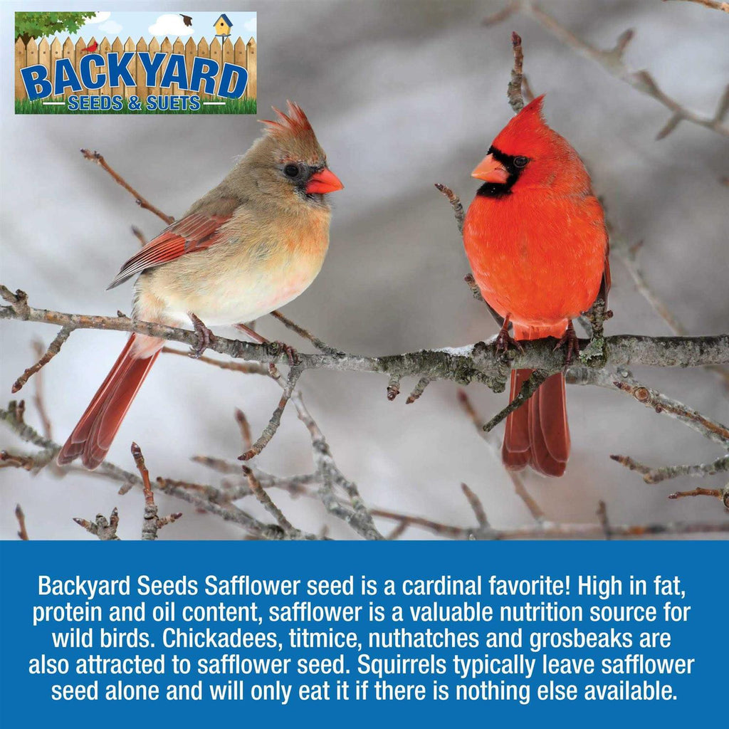 Safflower Bird Seed D7649