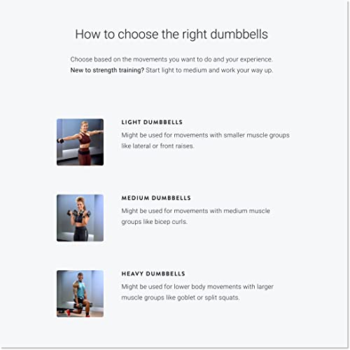 Set of Two Cast Iron Dumbbells with Urethane Coating Y630