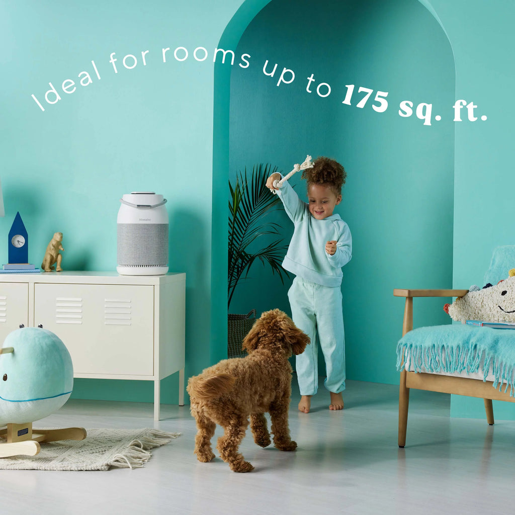 True HEPA Air Purifier A757923
