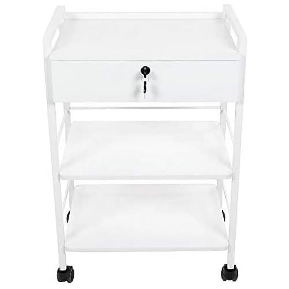 Mobile Utility Cabinet With Steel Frame And One Drawer Q3655