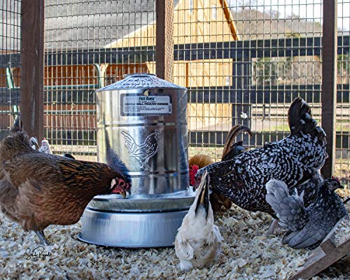 Chicken Waterer Heated Base R718