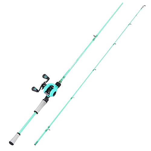 Spinning & Baitcasting Fishing Rod Reel Combo with Graphite Blanks, Stainless Steel Guides V1899
