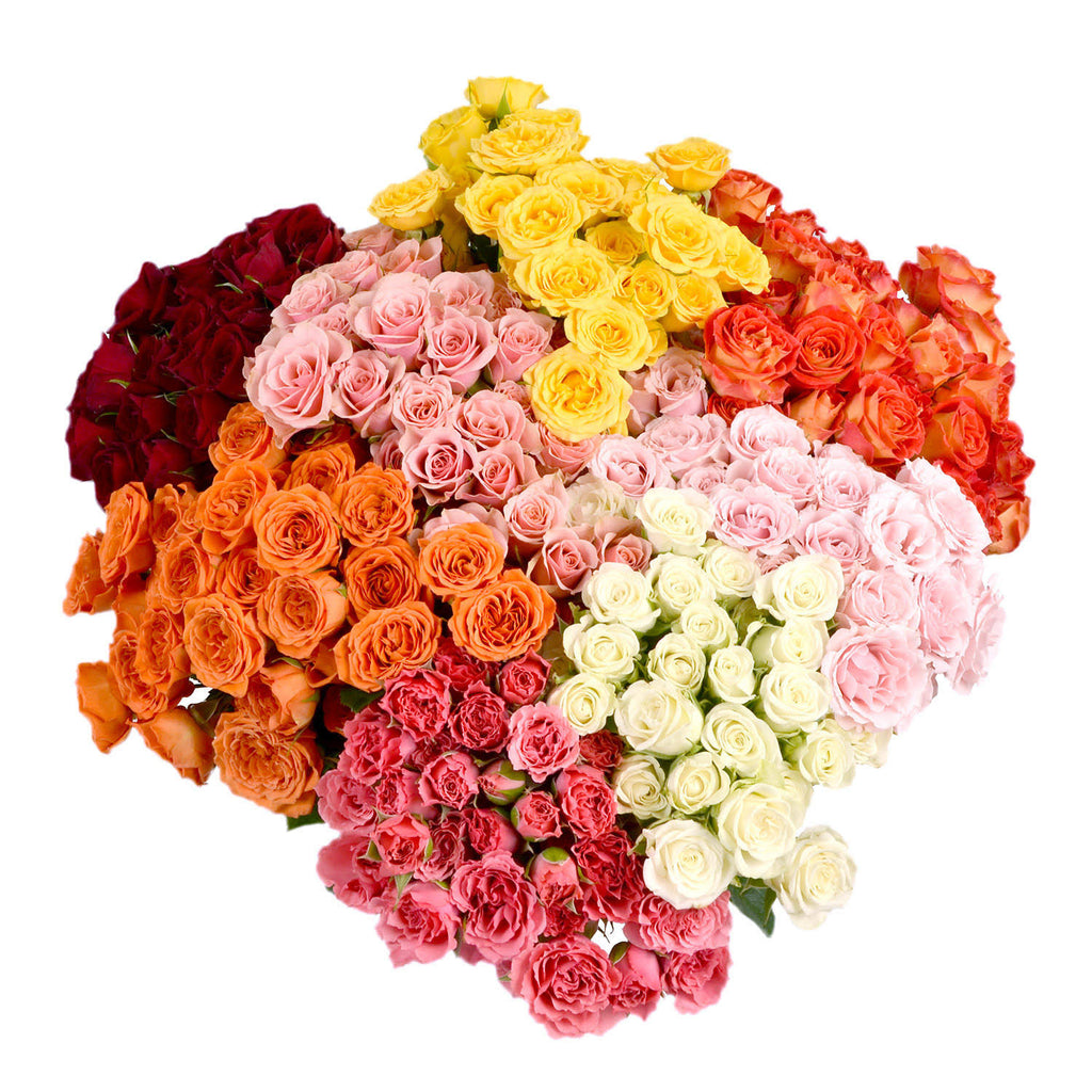 80 Stems Spray Roses H42036