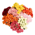 80 Stems Spray Roses H42036