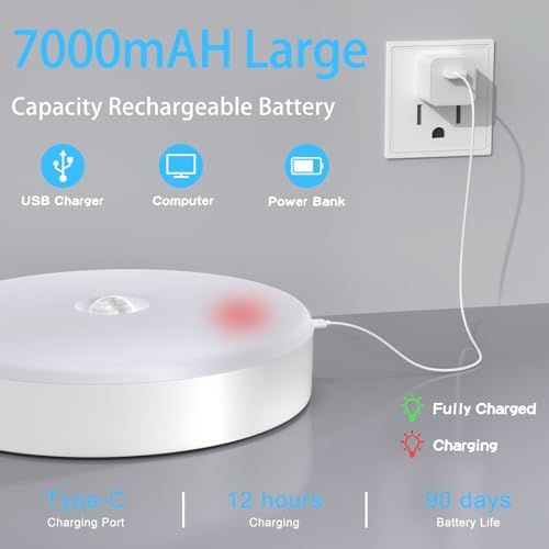 2 Pack Rechargeable Motion Sensor Ceiling Light P824
