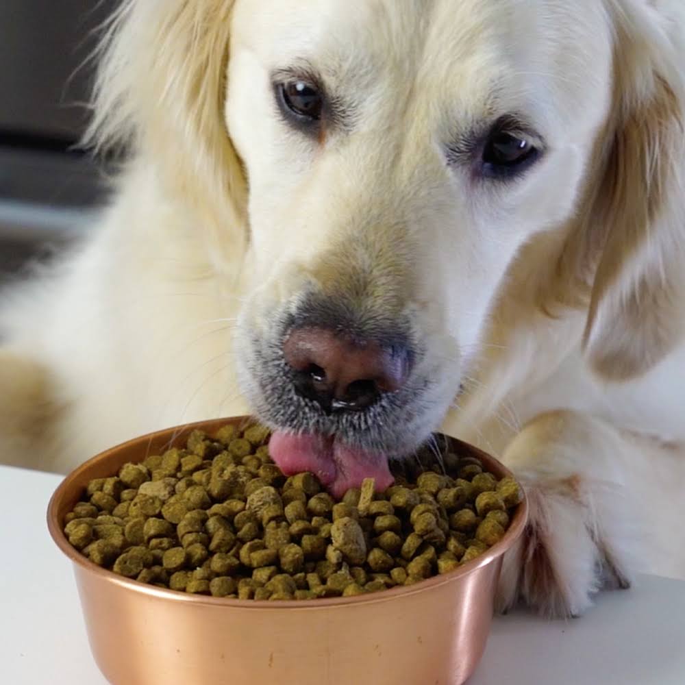 22 lbs Dry Dog Food M87052