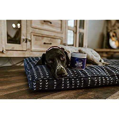 Calming Soft Chews for Dogs E43631