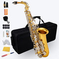 Black/gold keys Eb Alto Saxophone with Case M3844