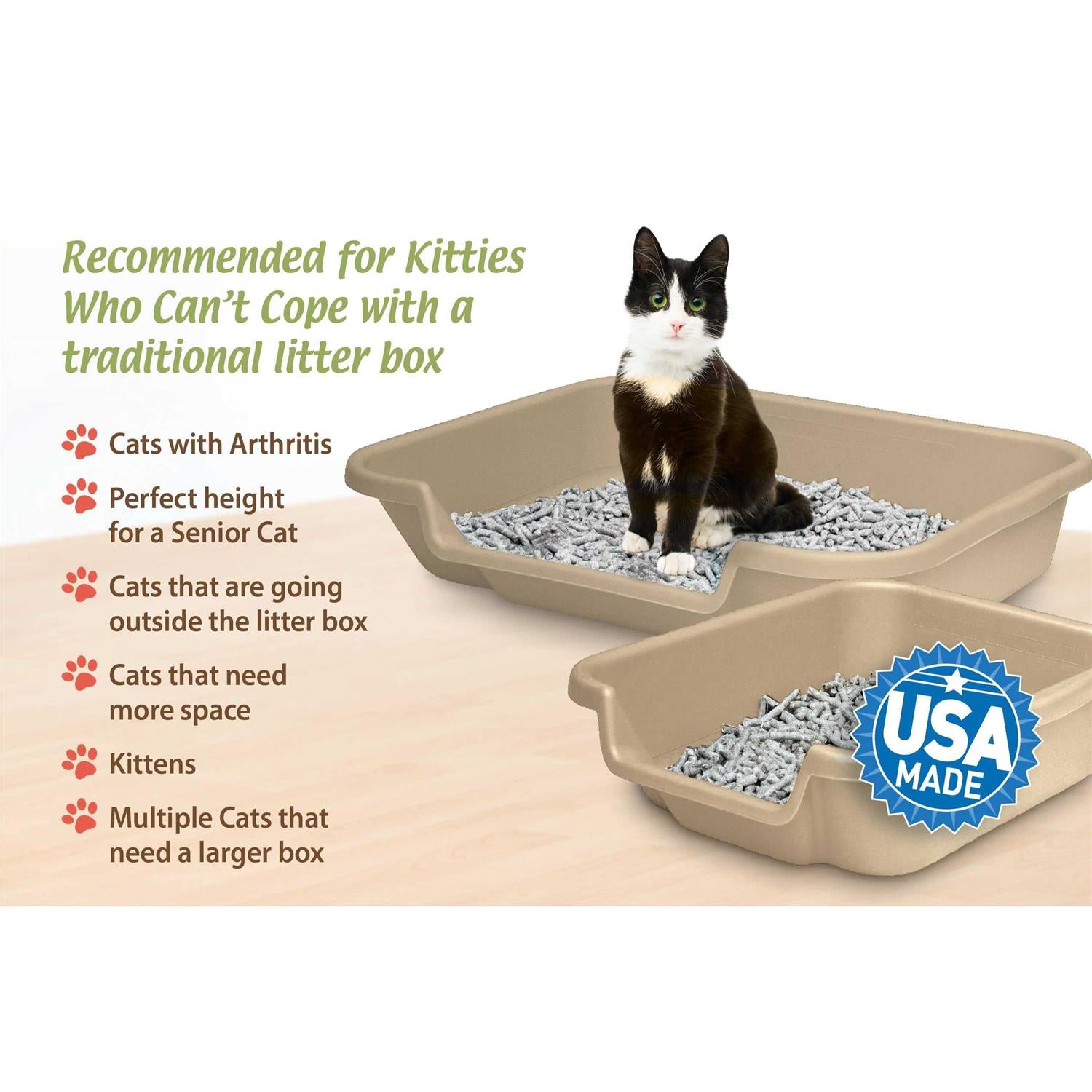 Senior Cat Litter Box N64552